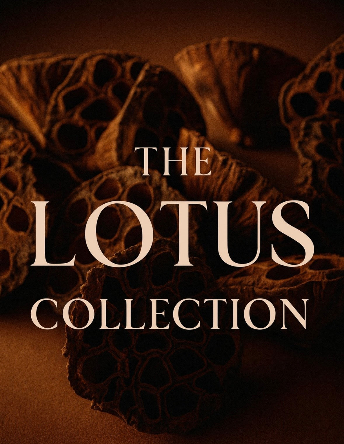 The Lotus Collection