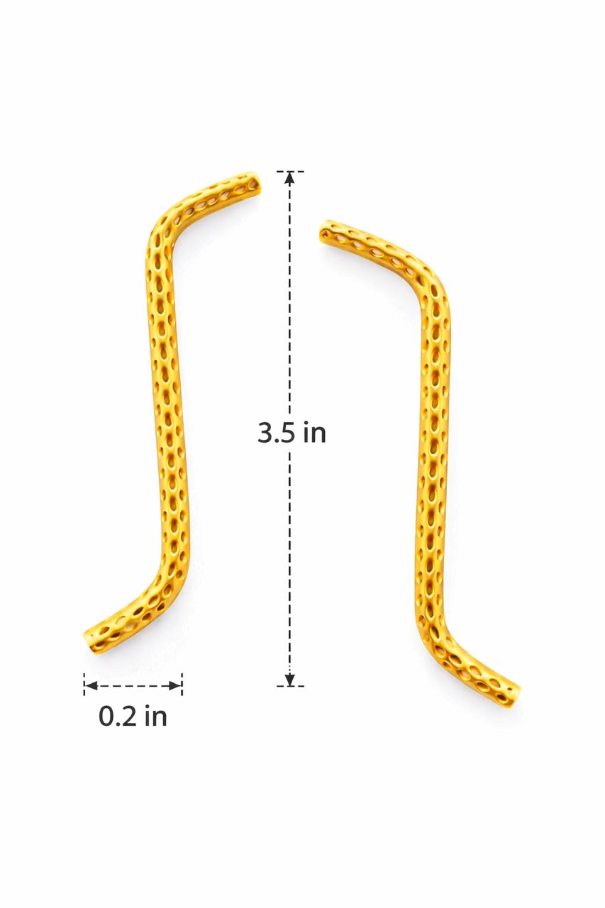 Ama Earring