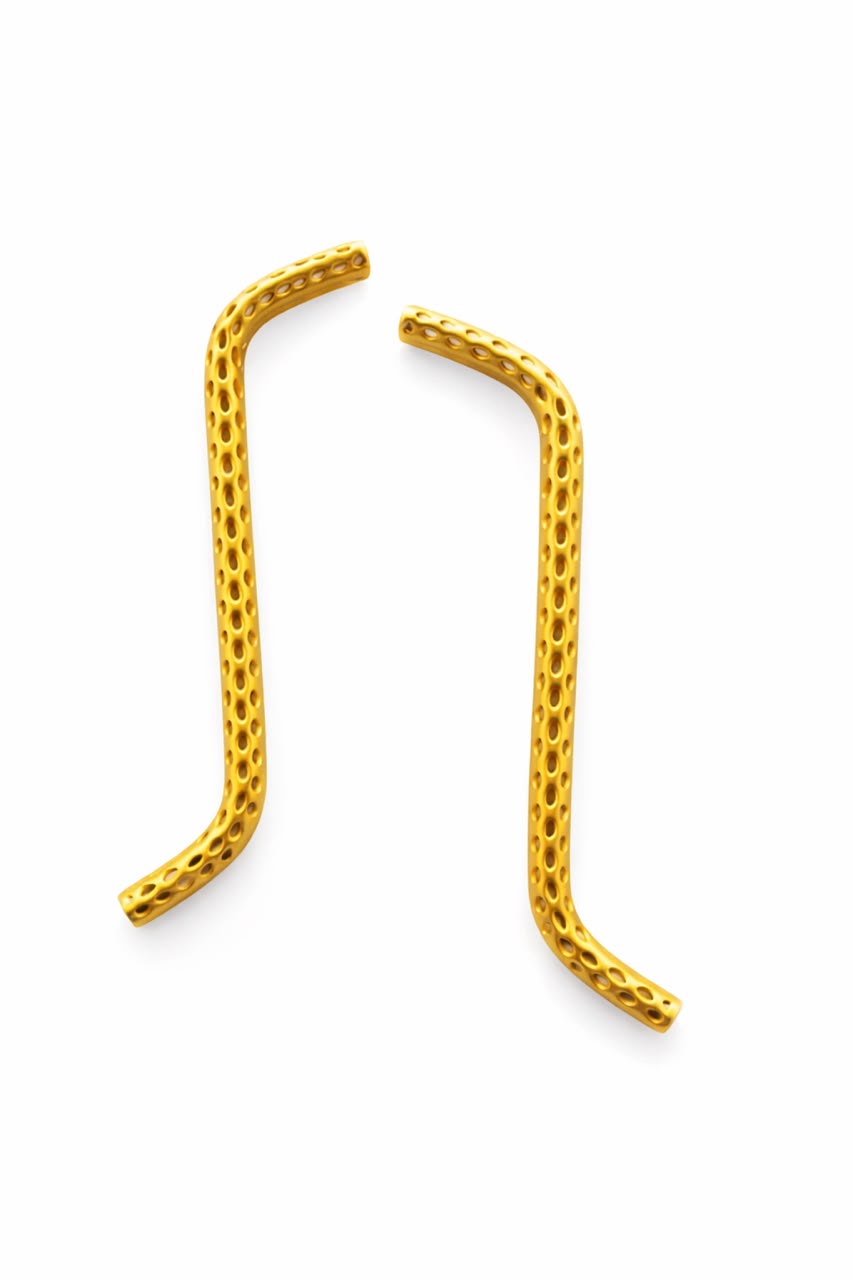 Ama Earring
